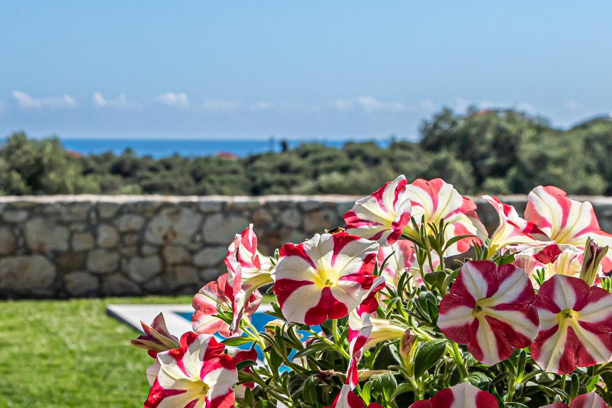Galatás Villa Penelope מראה חיצוני תמונה